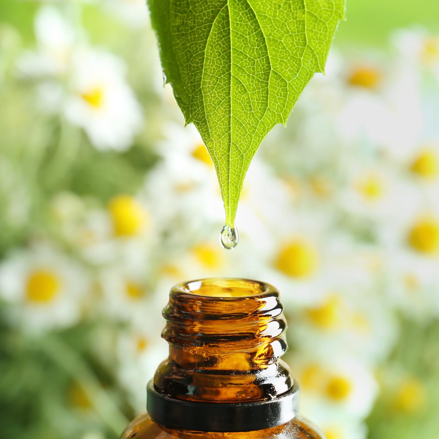 Aromathérapie 5 Aromathérapie et huiles essentielles, Pharmacie Gaillet à Froissy, Noyers-Saint-Martin, Breteuil